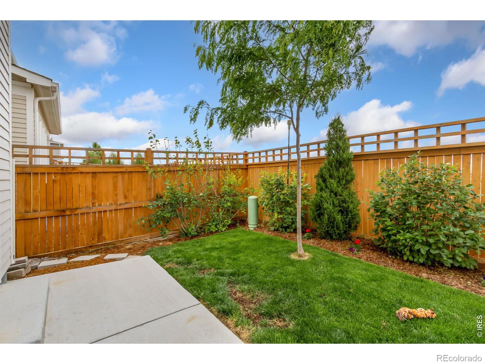 4510 Barrow Lane Timnath CO 80547