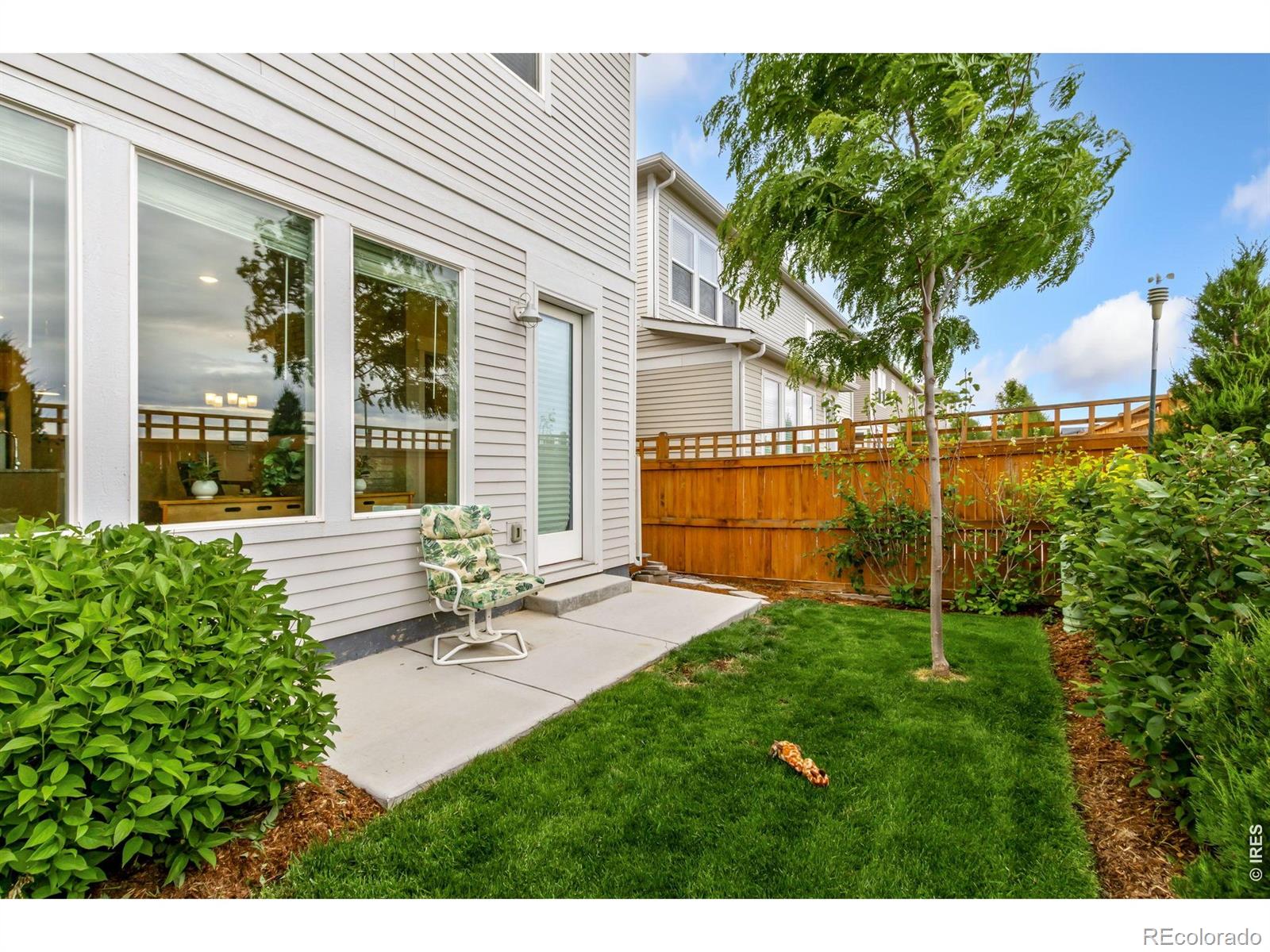 4510 Barrow Lane Timnath CO 80547