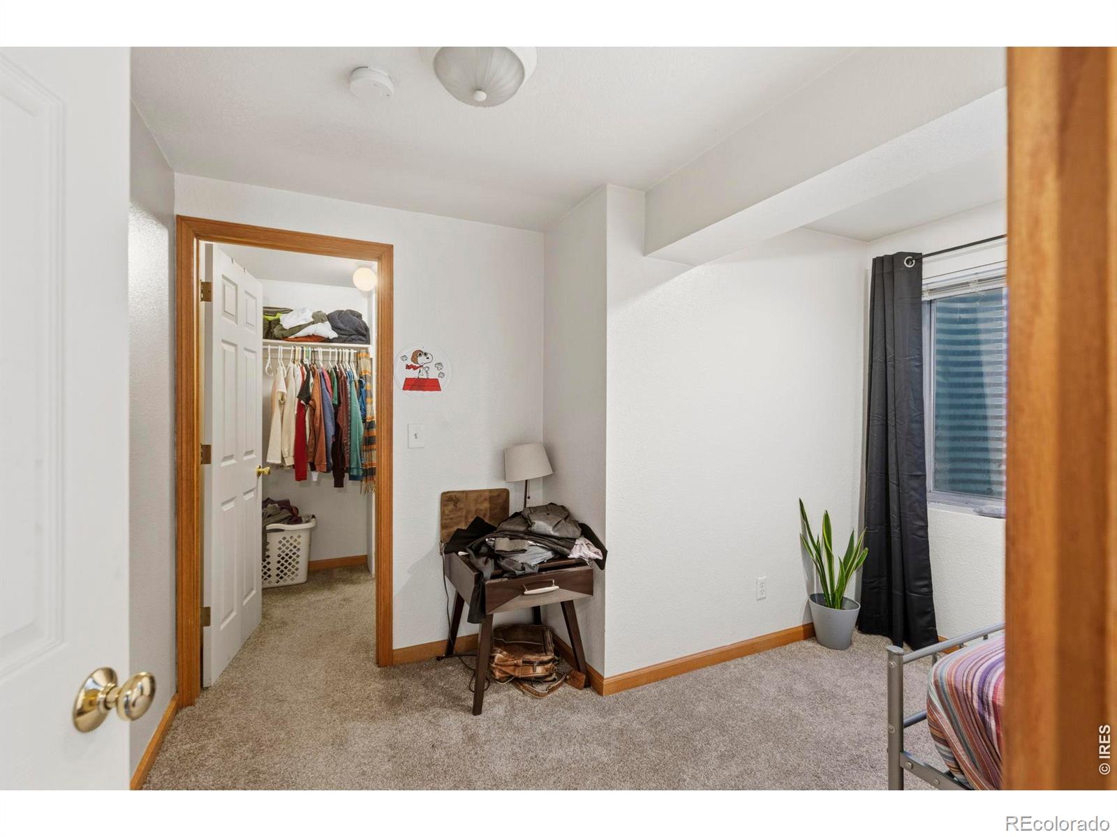 1637 Westbridge Drive Fort Collins CO 80526