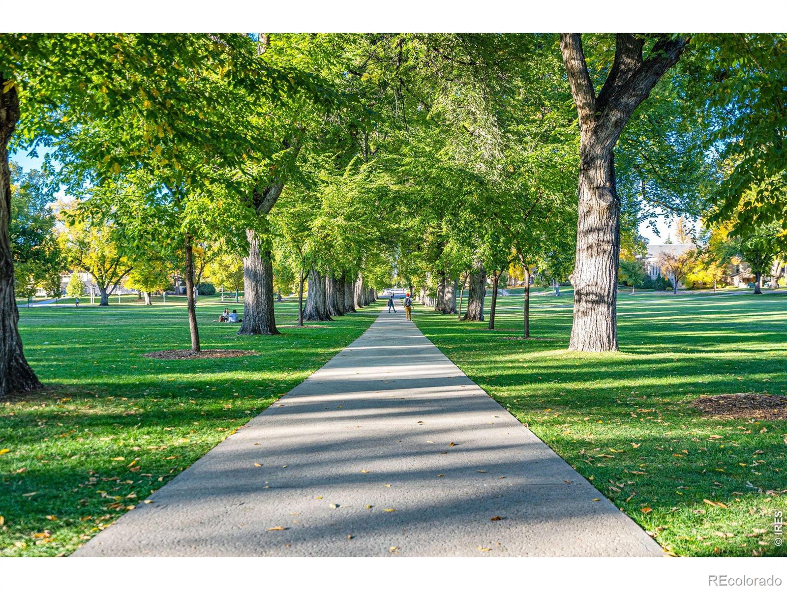 1637 Westbridge Drive Fort Collins CO 80526