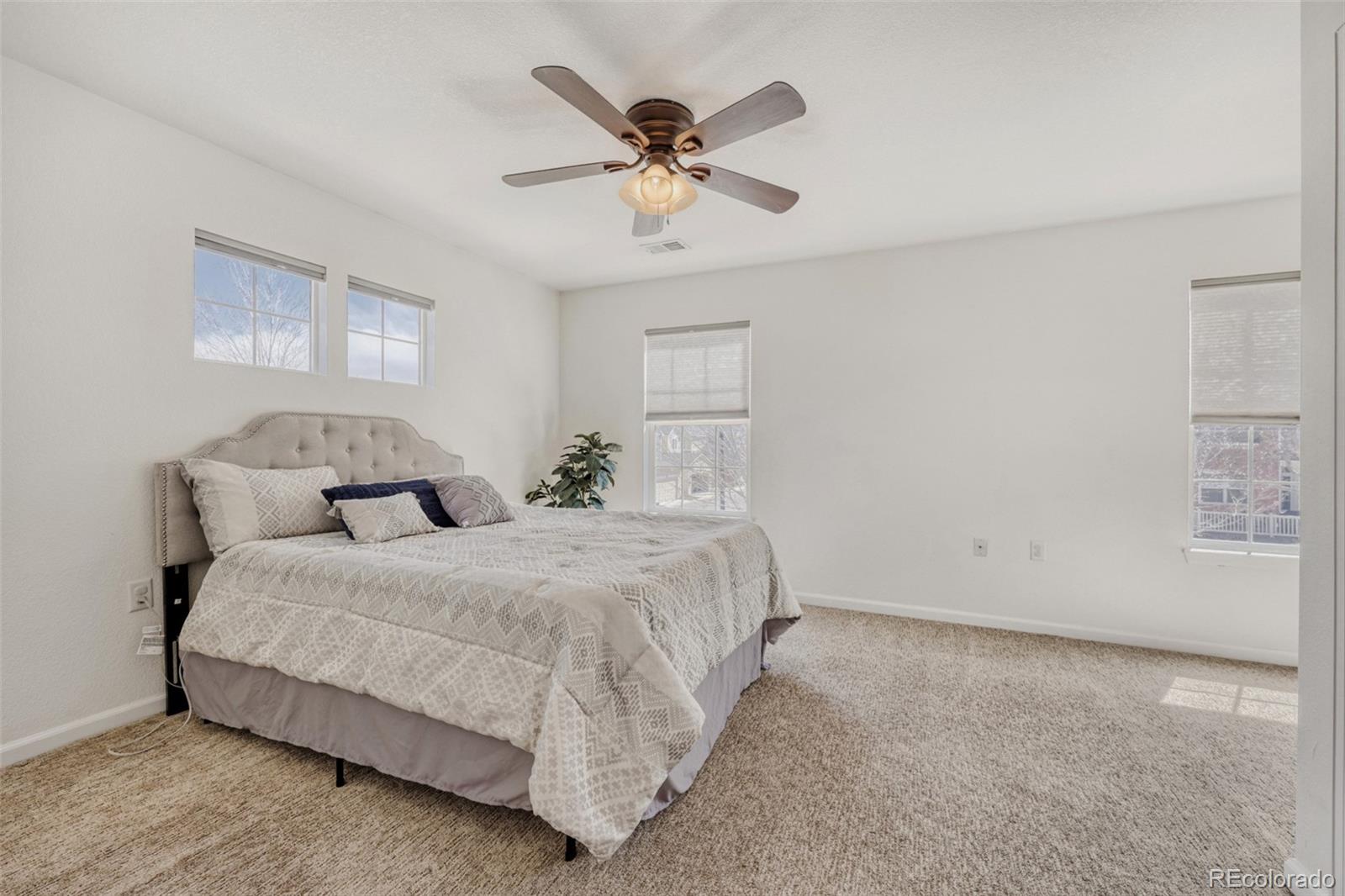 1506 Wild Cat Mountain Road Castle Rock CO 80109