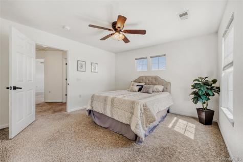 1506 Wild Cat Mountain Road Castle Rock CO 80109
