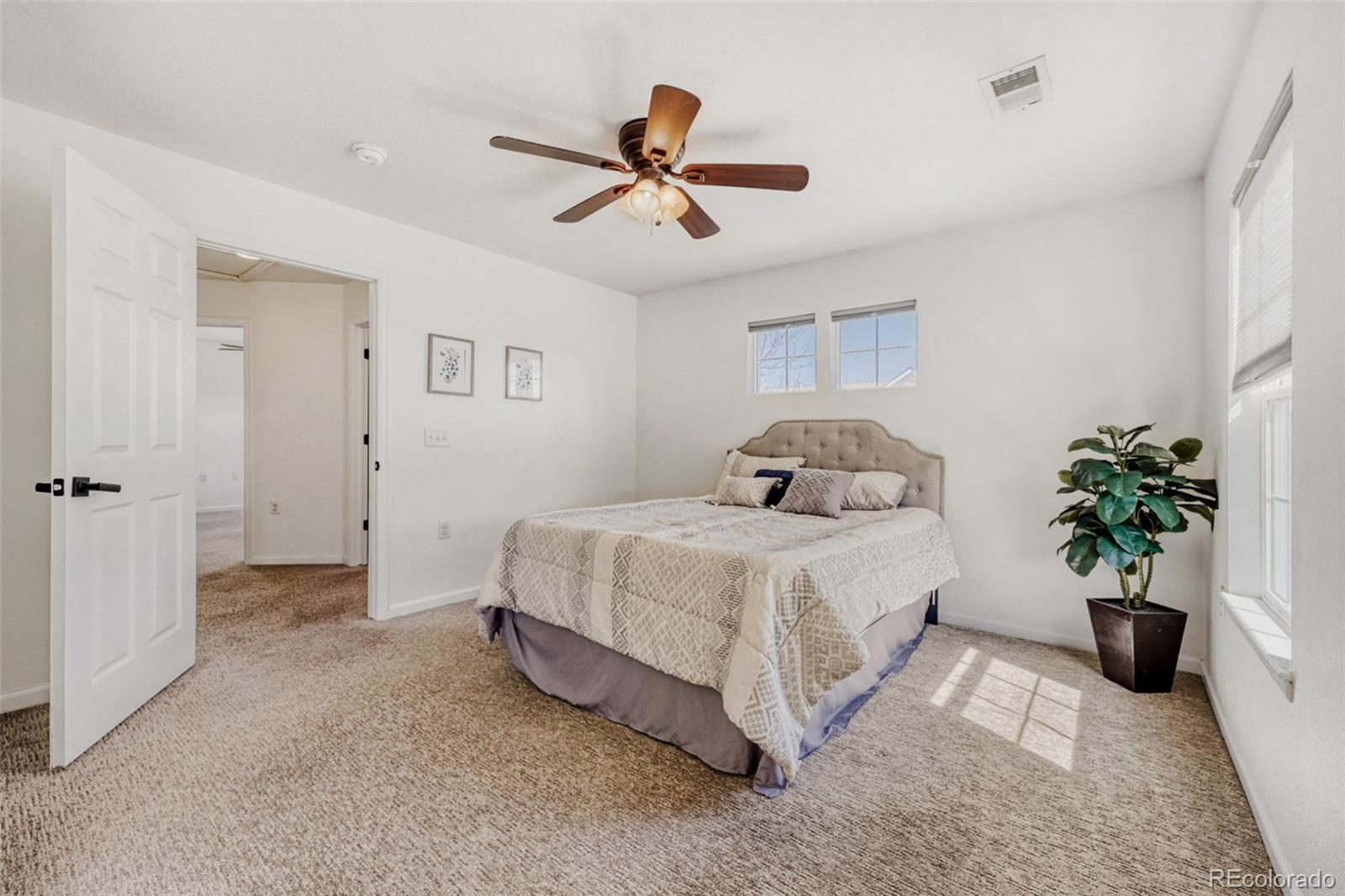 1506 Wild Cat Mountain Road Castle Rock CO 80109