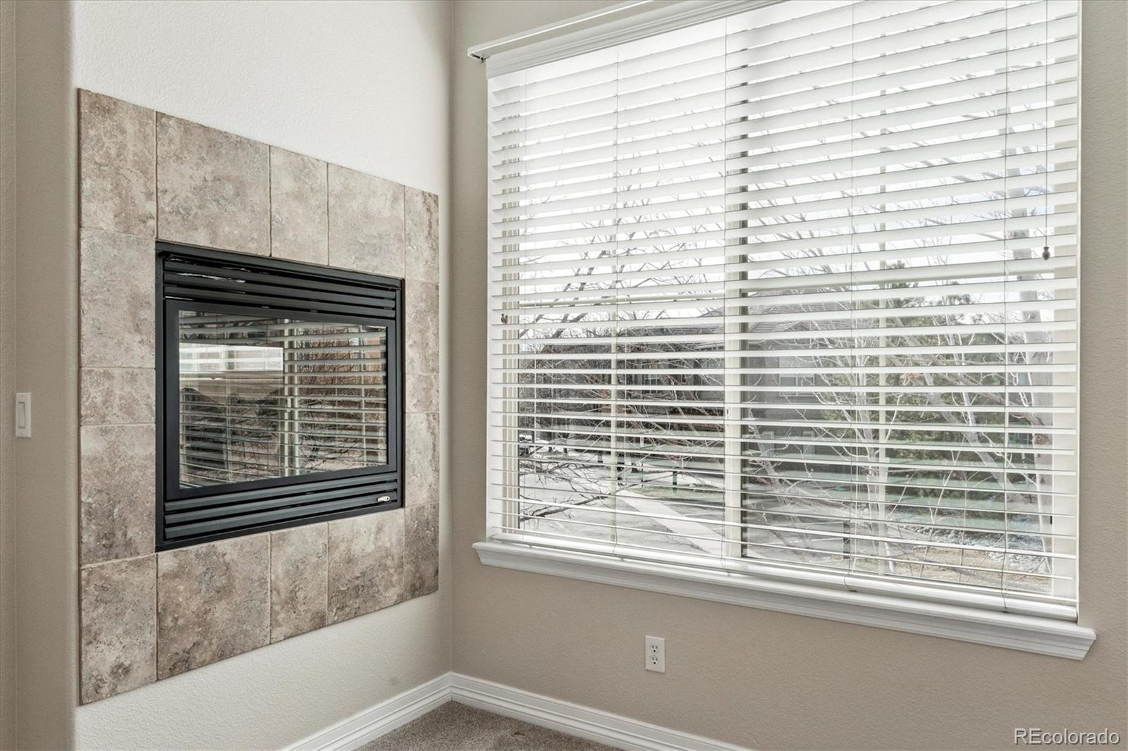 10064 Bluffmont Court Lone Tree CO 80124
