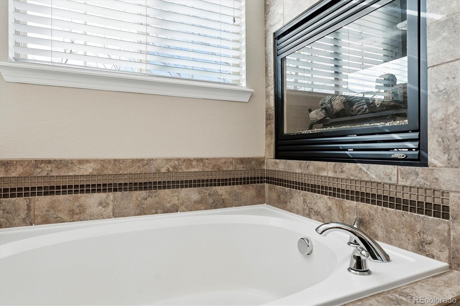 10064 Bluffmont Court Lone Tree CO 80124
