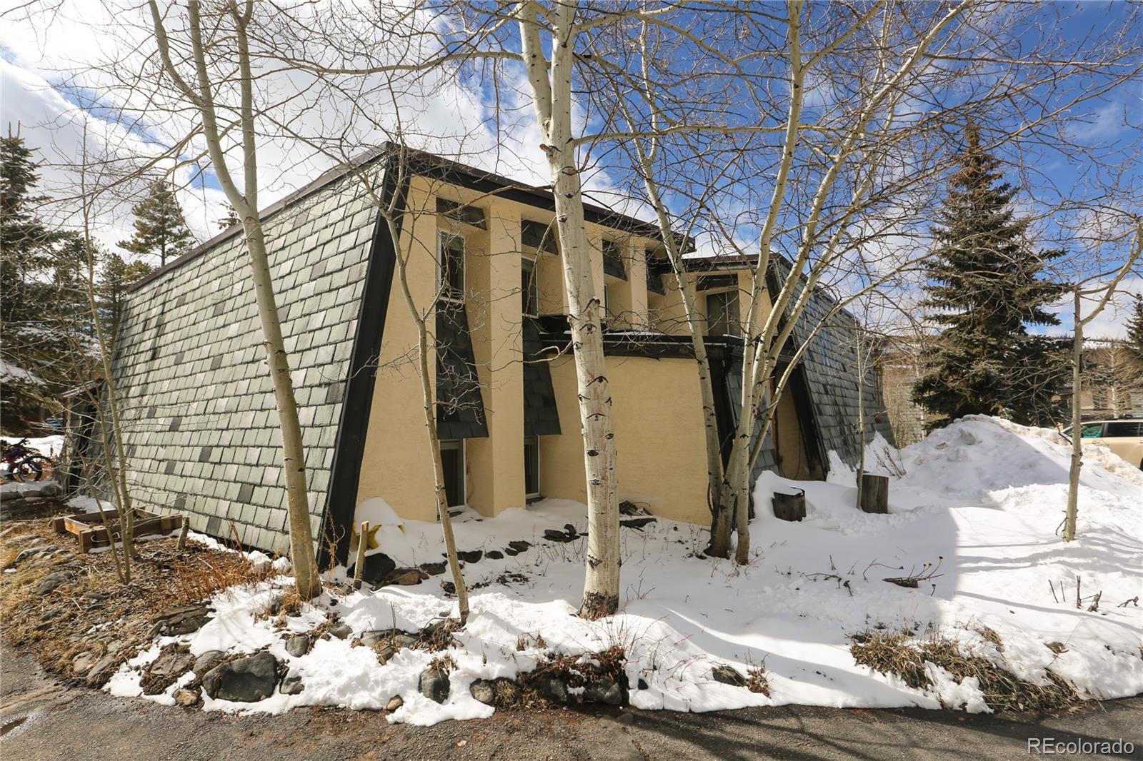 921 Fairview Boulevard Breckenridge CO 80424