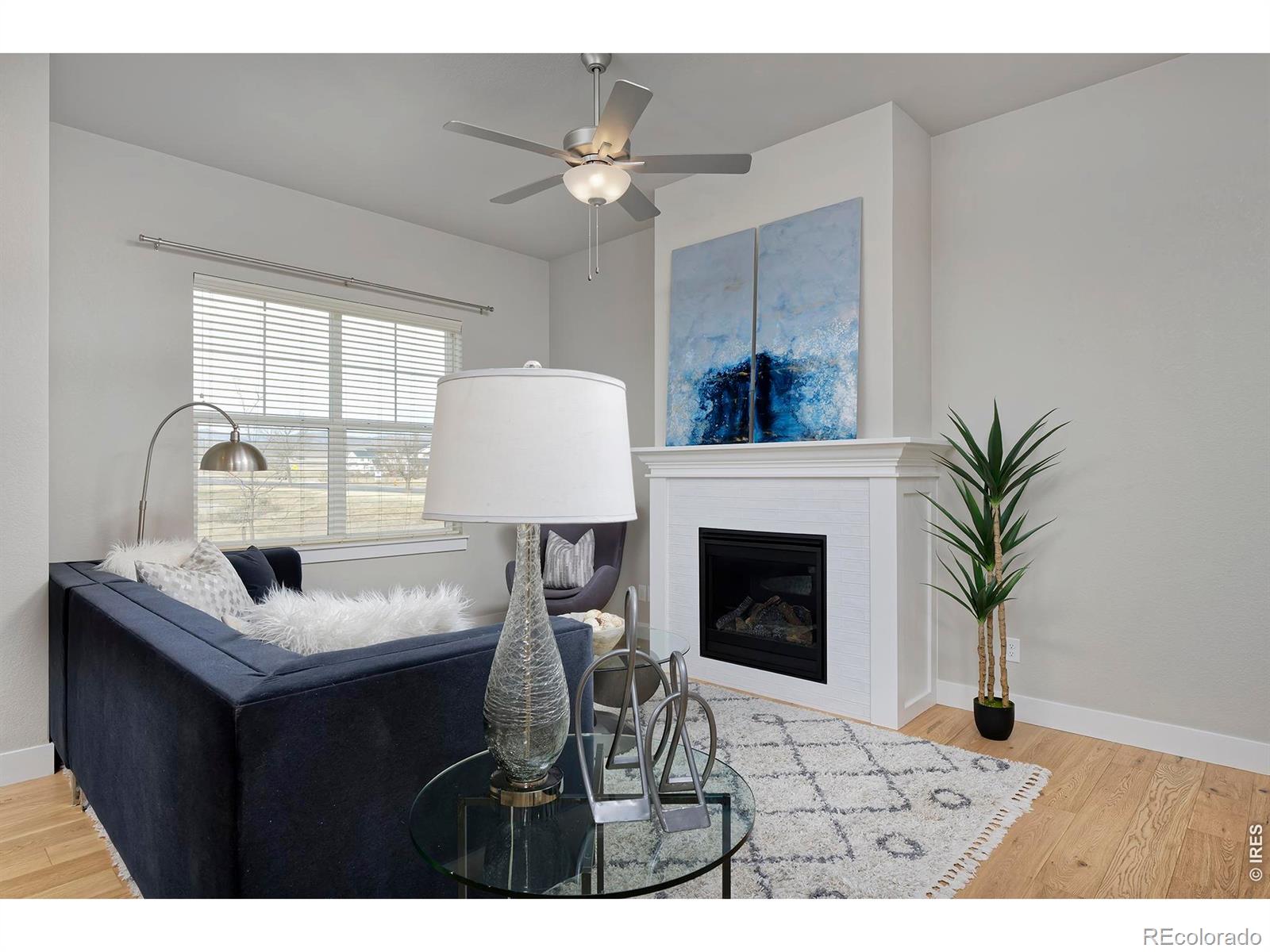 1878 W 50th Street Loveland CO 80538