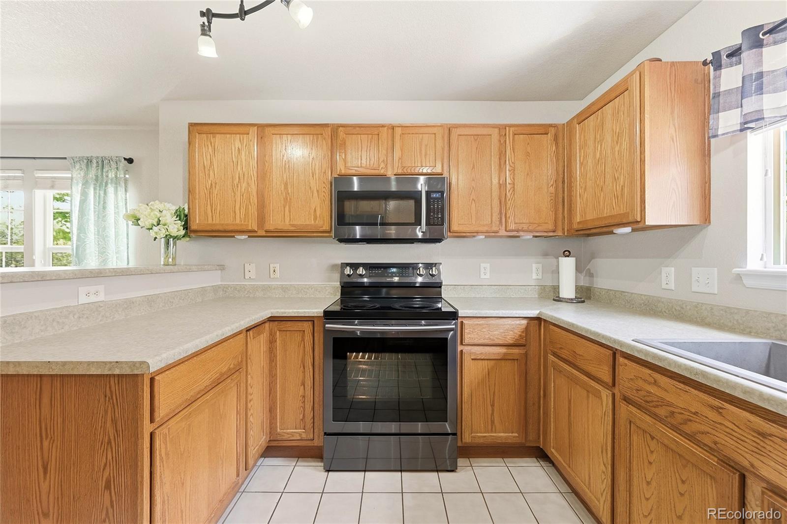 1471 Nemrick Place Castle Rock CO 80109