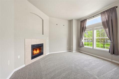 1471 Nemrick Place Castle Rock CO 80109
