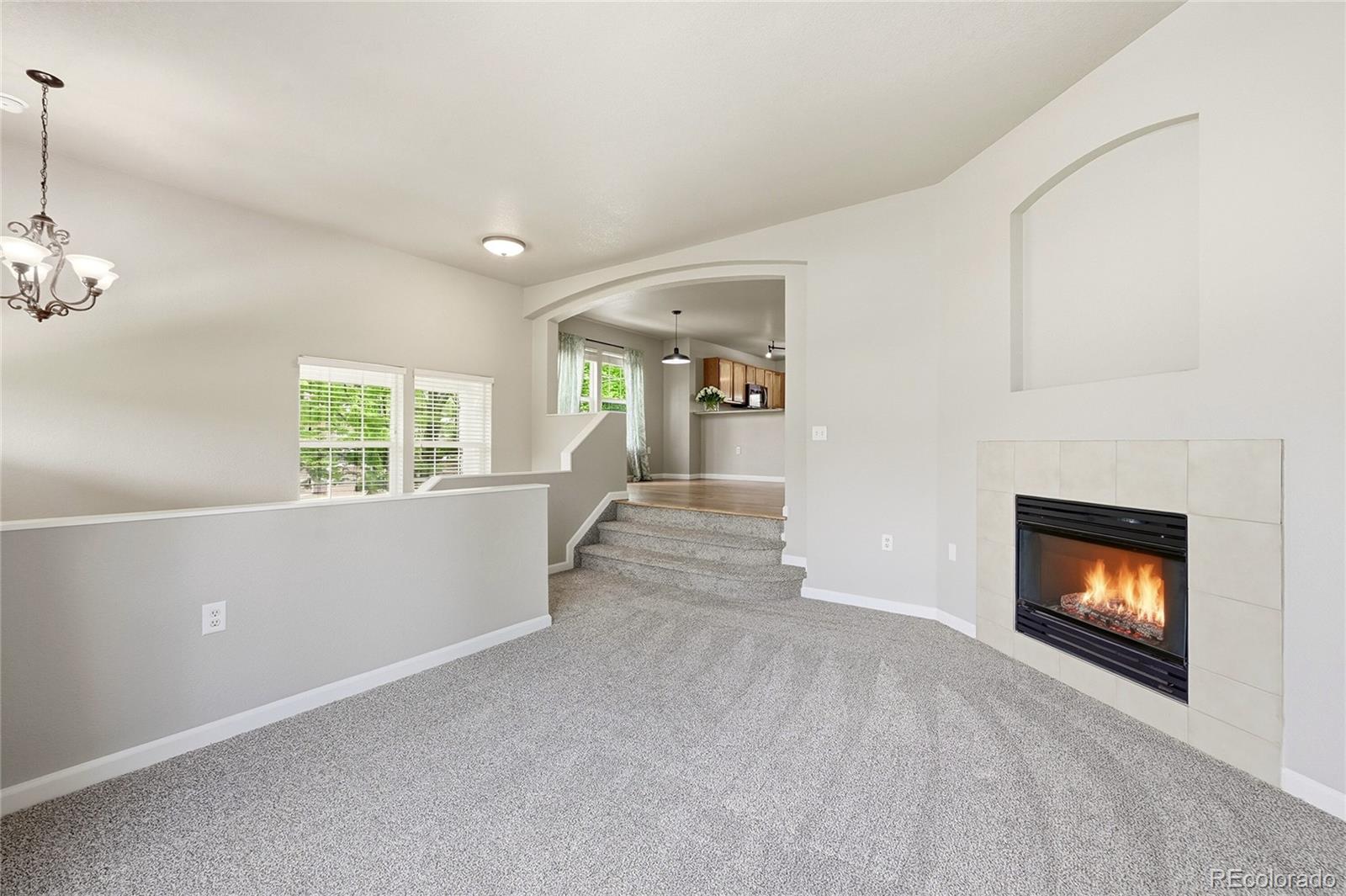 1471 Nemrick Place Castle Rock CO 80109