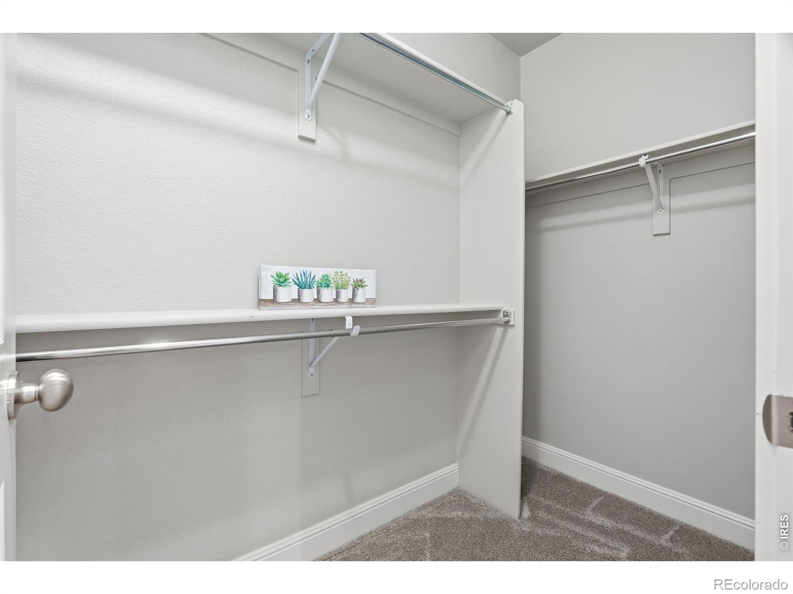 8446 Annapolis Drive Windsor CO 80528