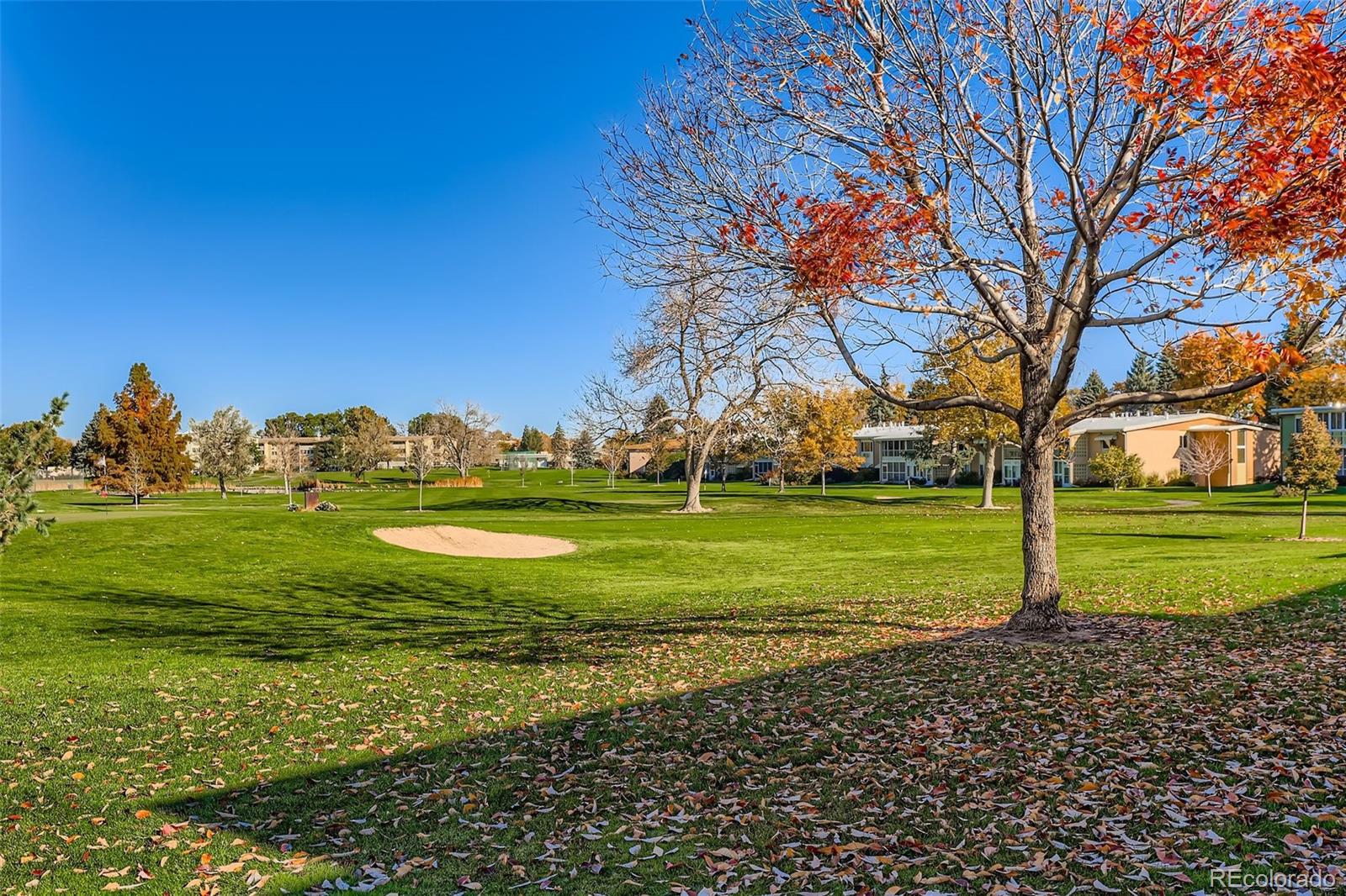 740 S Alton Way Denver CO 80247