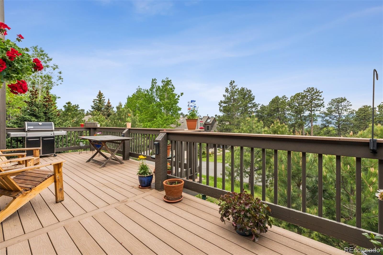24036 Currant Drive Golden CO 80401
