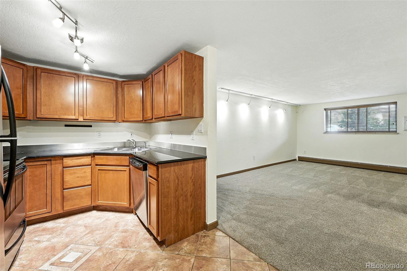 1045 N Clarkson Street Denver CO 80218