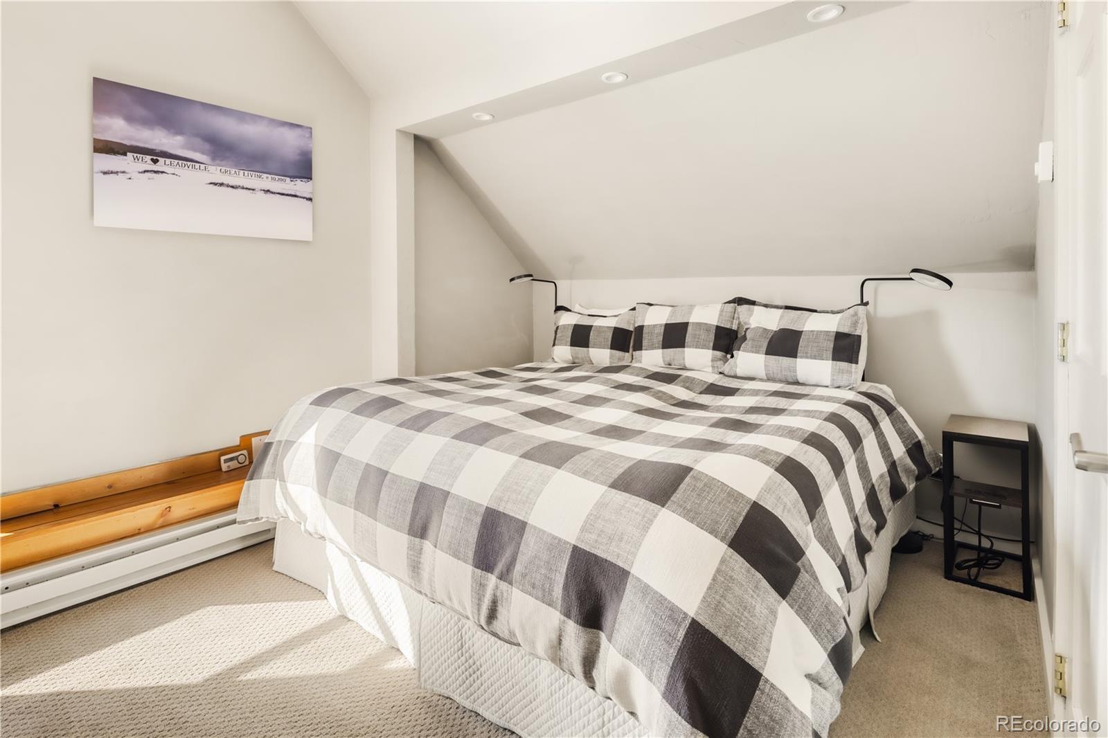 401 Old Saint Vincents Leadville CO 80461