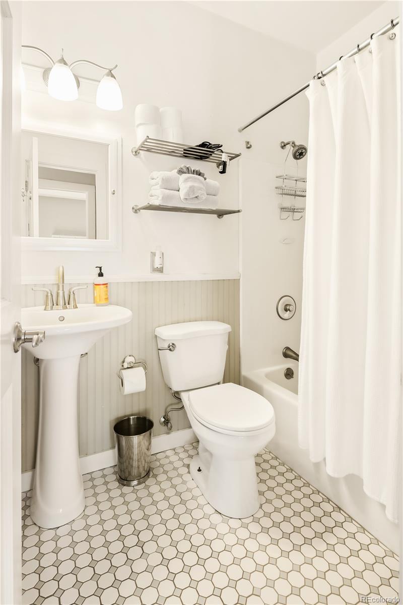 401 Old Saint Vincents Leadville CO 80461