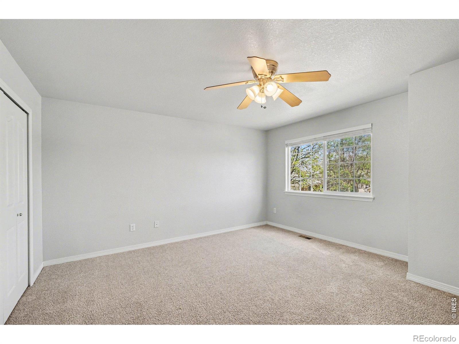 1015 Andrews Peak Drive Fort Collins CO 80521