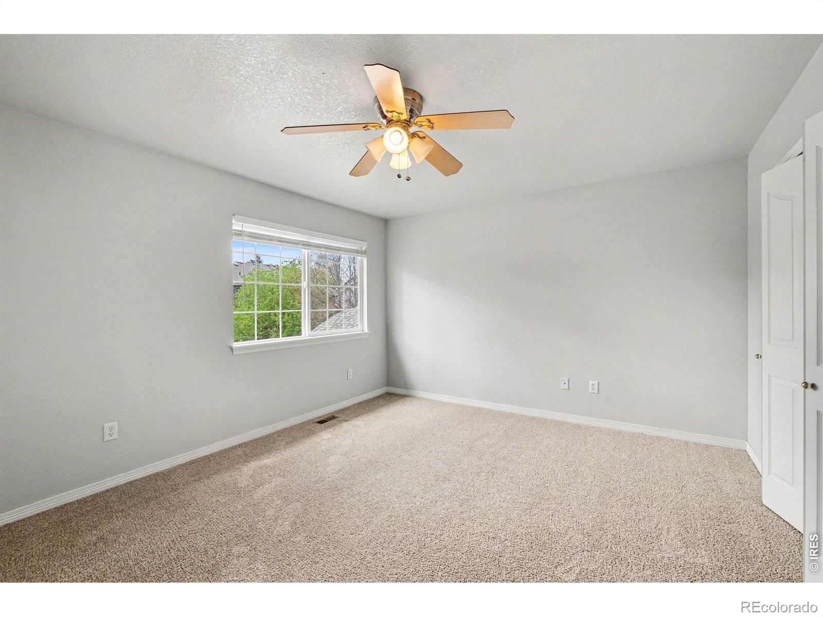 1015 Andrews Peak Drive Fort Collins CO 80521