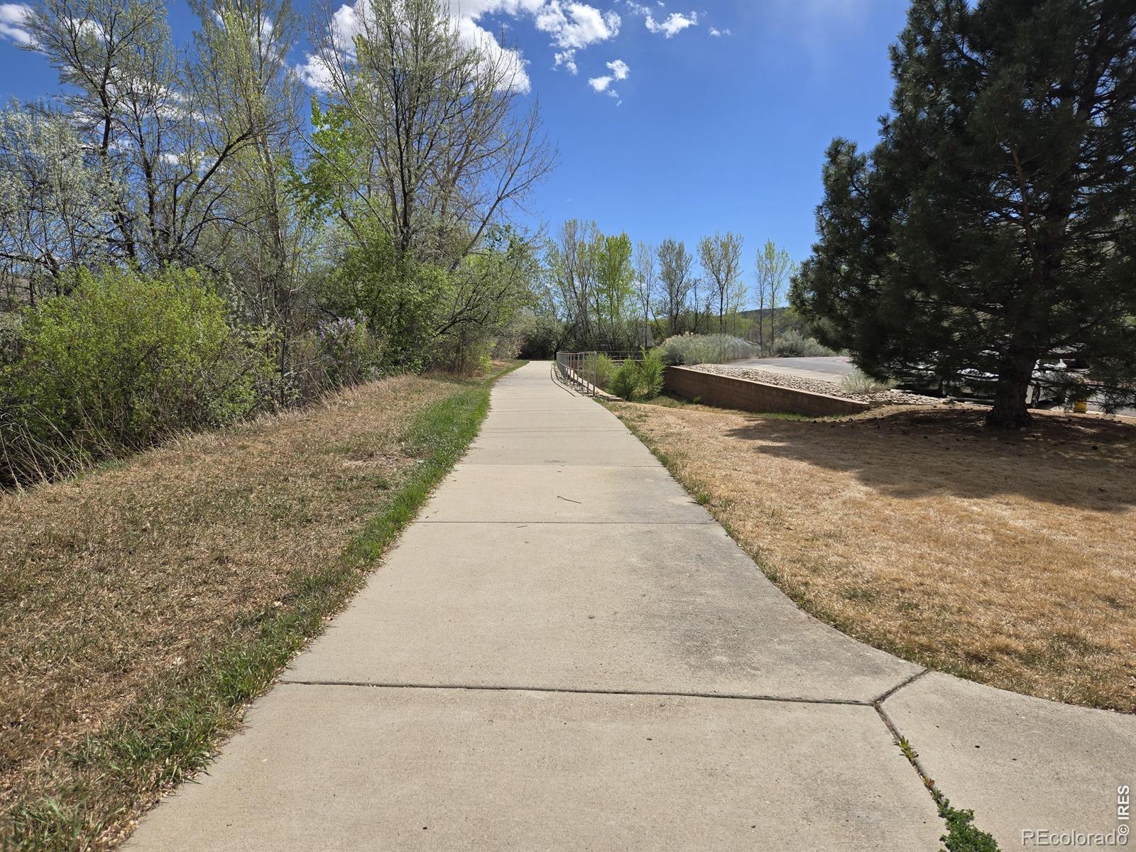 1015 Andrews Peak Drive Fort Collins CO 80521