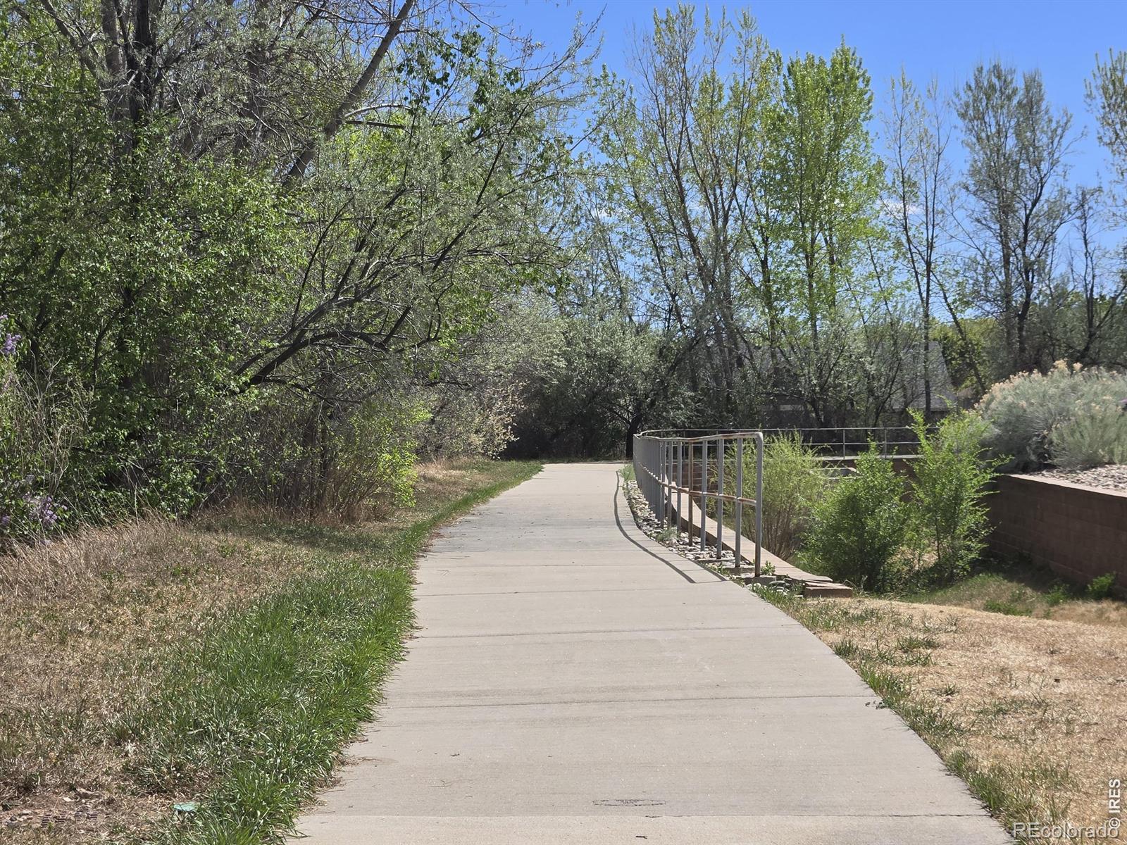 1015 Andrews Peak Drive Fort Collins CO 80521