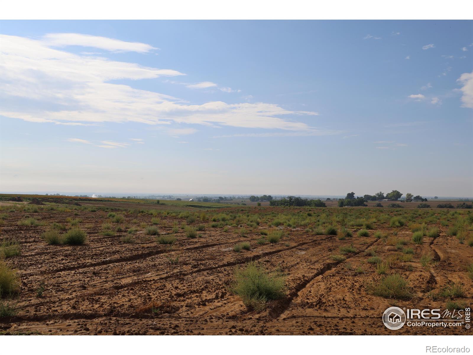 4326 County Road 38 Mead CO 80651