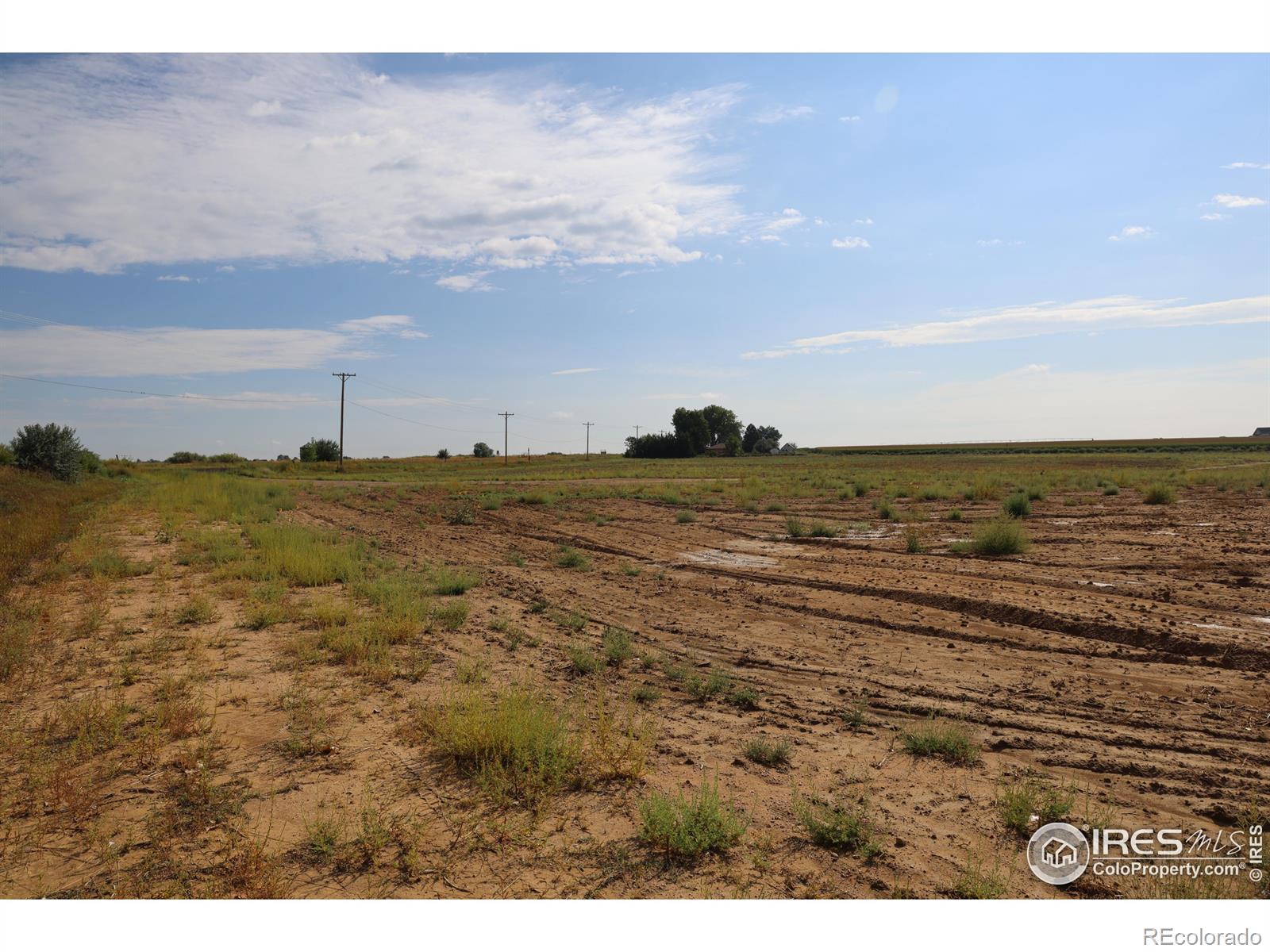 4326 County Road 38 Mead CO 80651