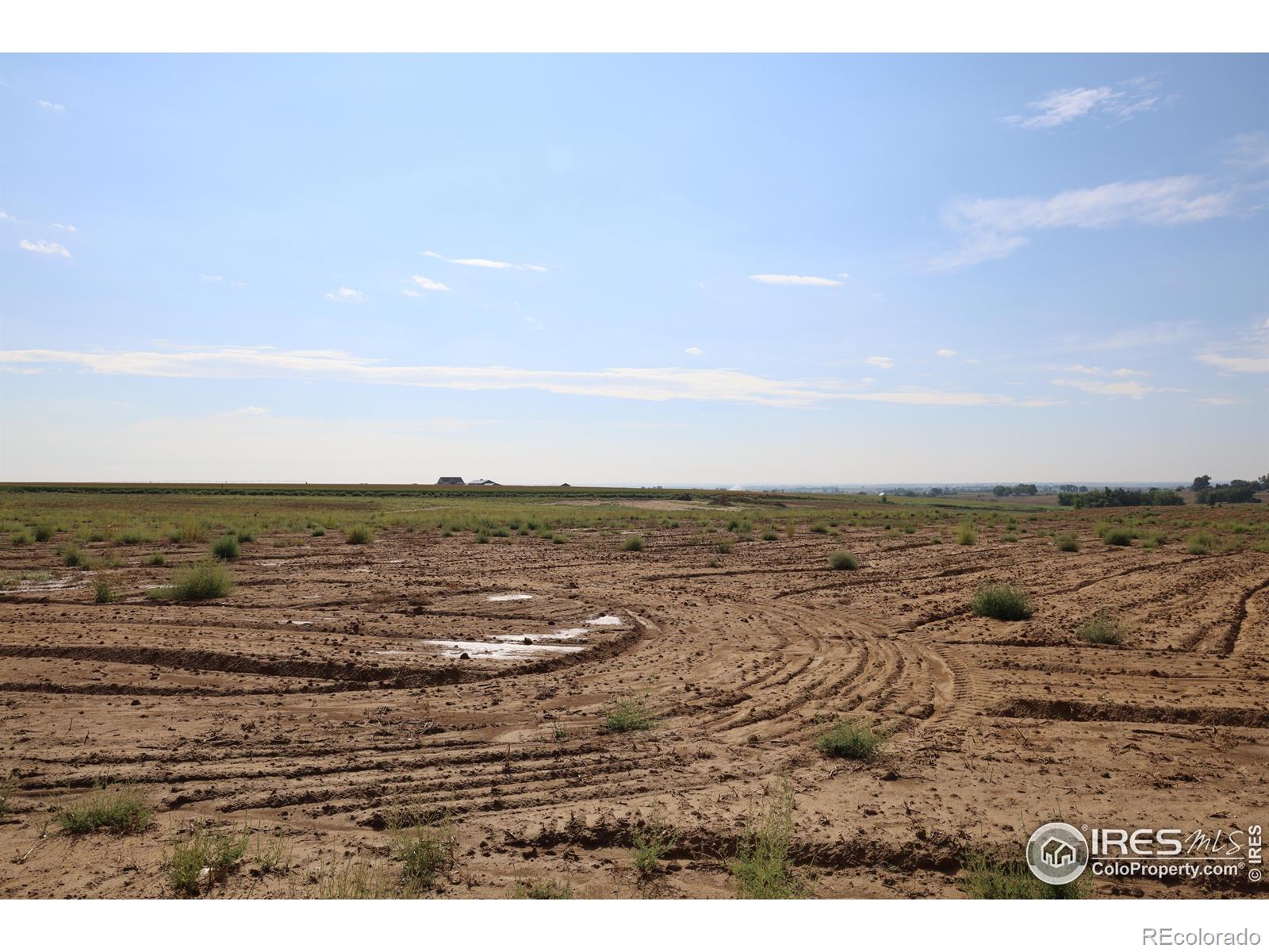 4326 County Road 38 Mead CO 80651