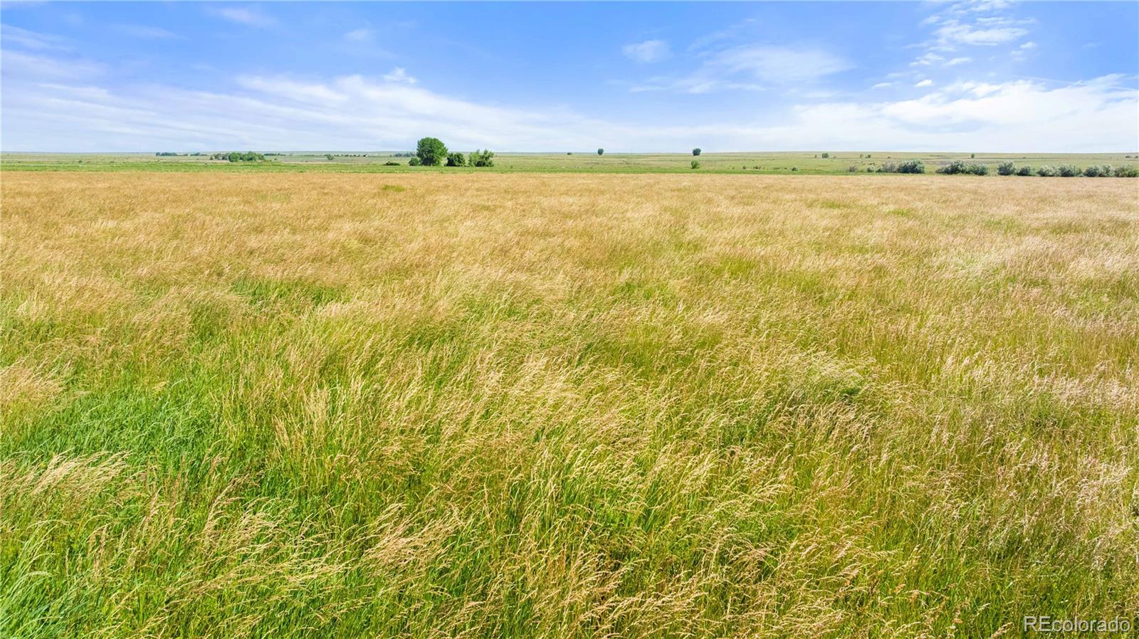 44333 County Road 40 Trinidad CO 81082