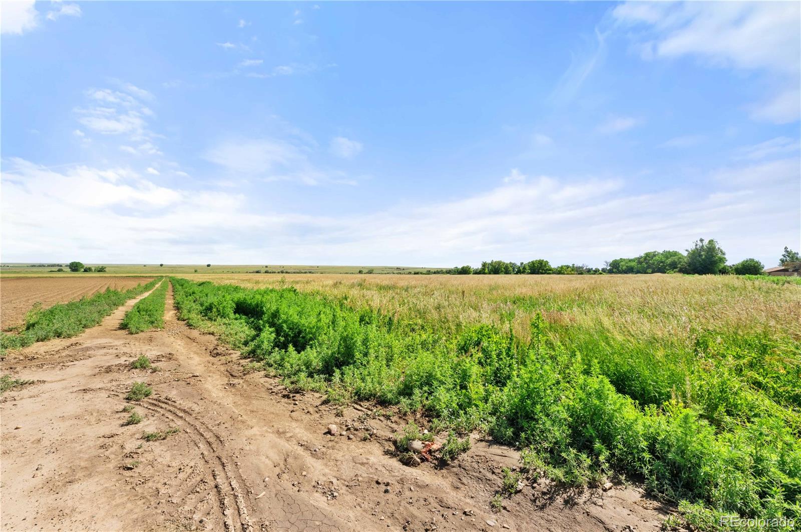 44333 County Road 40 Trinidad CO 81082