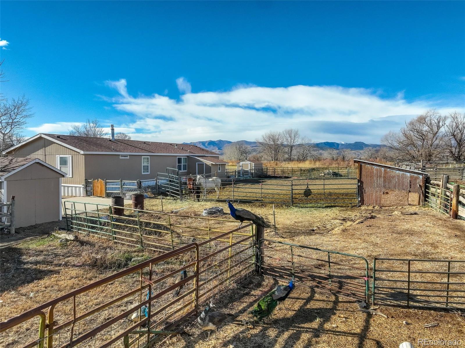 12745 N 75th Street Longmont CO 80503