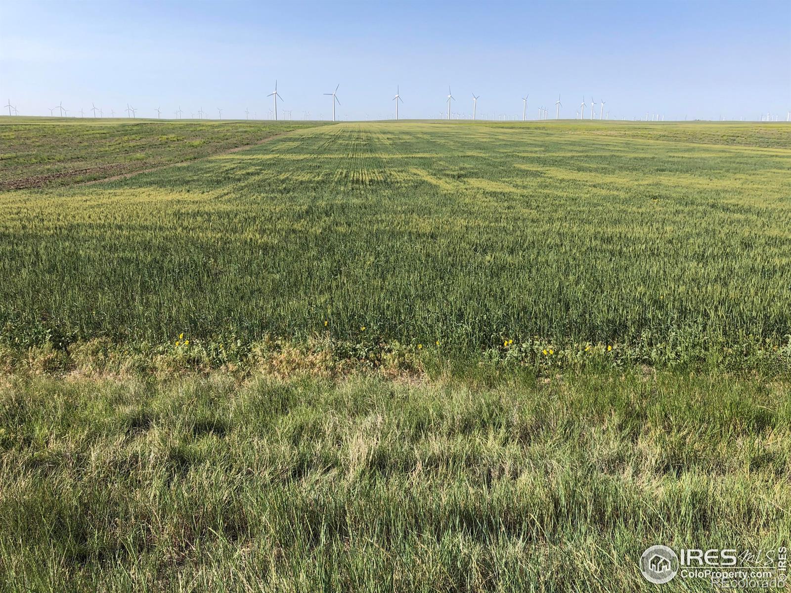 0 Wcr 105 Grover CO 80729