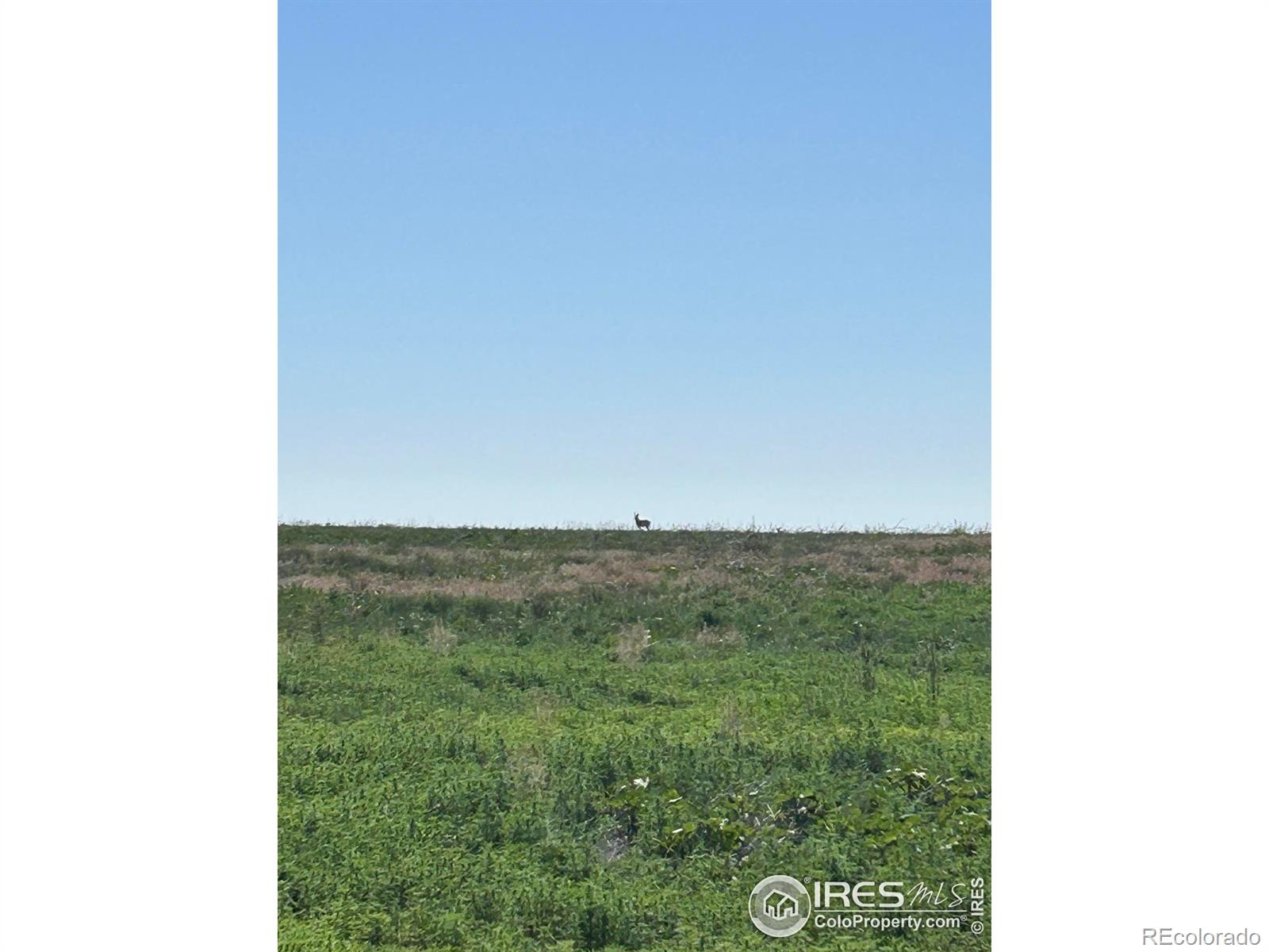 0 Cr 74 Briggsdale CO 80611