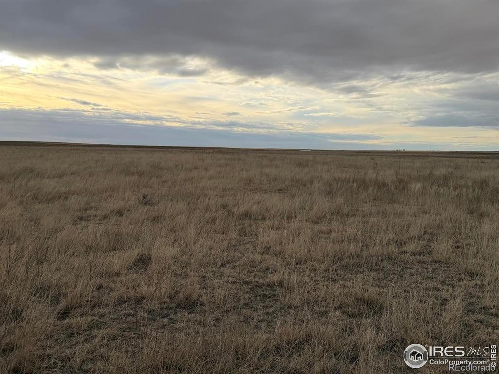 14 County Road Z Road Kit Carson CO 80825