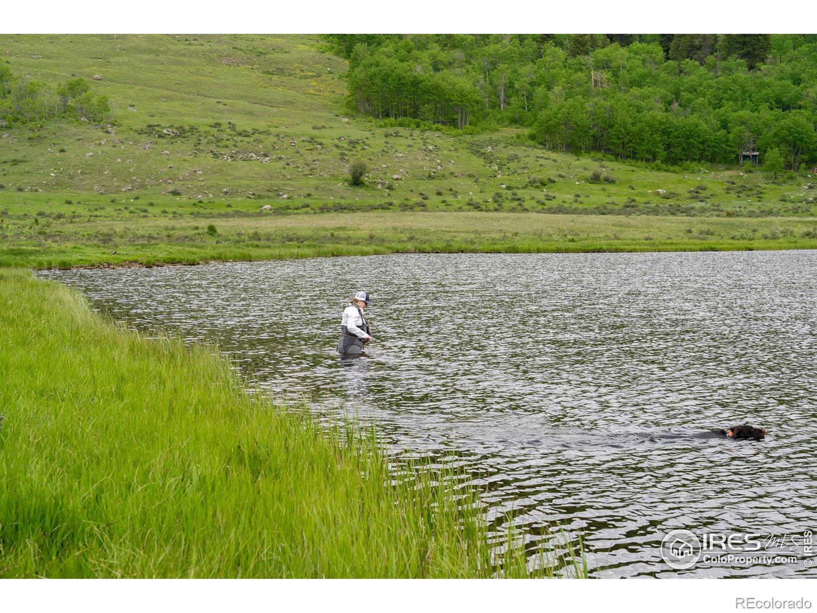 4871 Tolland Road Rollinsville CO 80474