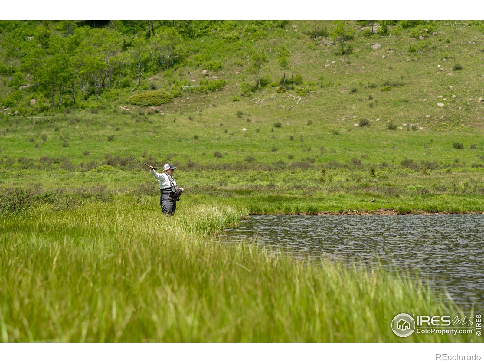 4871 Tolland Road Rollinsville CO 80474