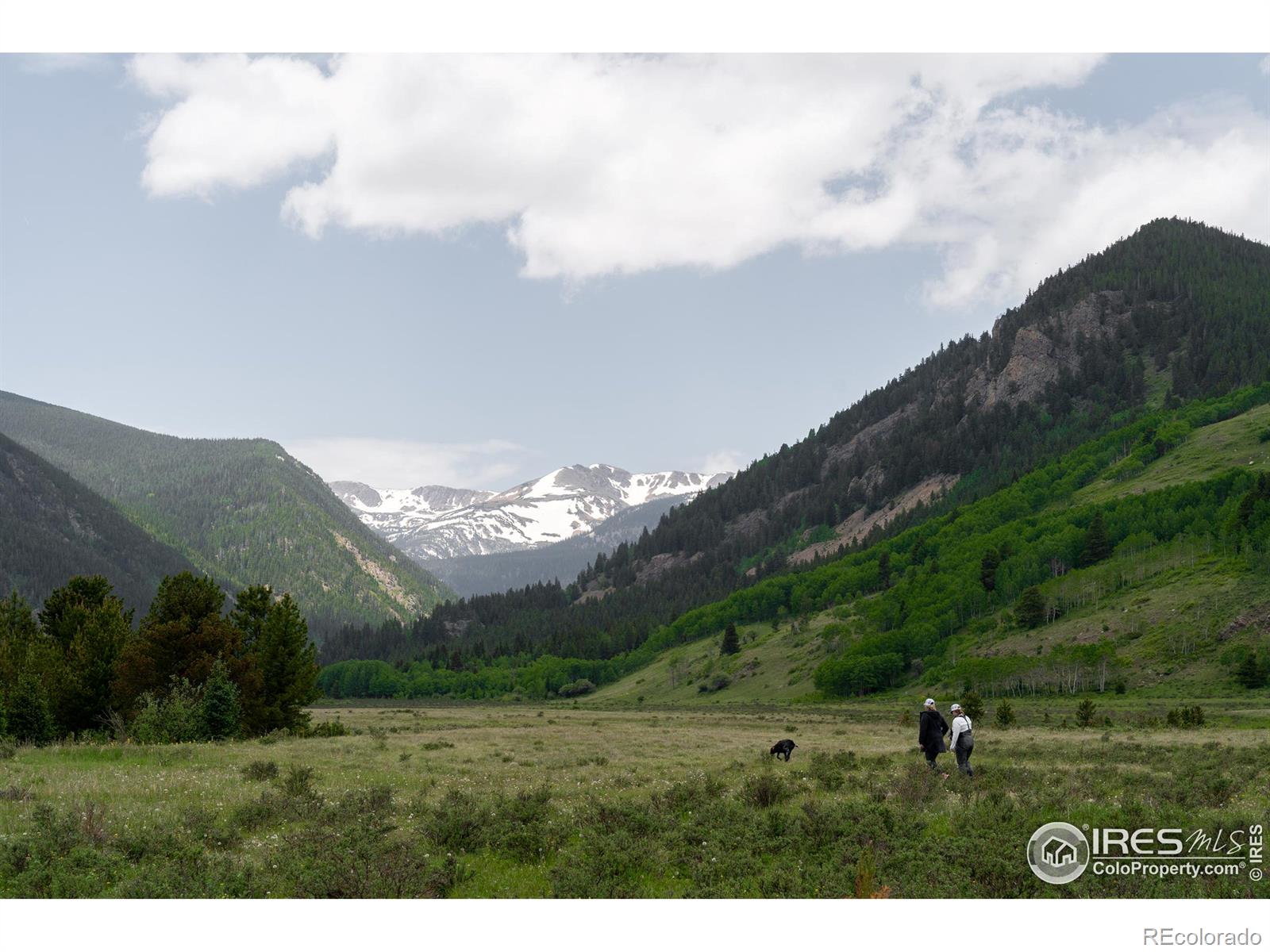 4871 Tolland Road Rollinsville CO 80474