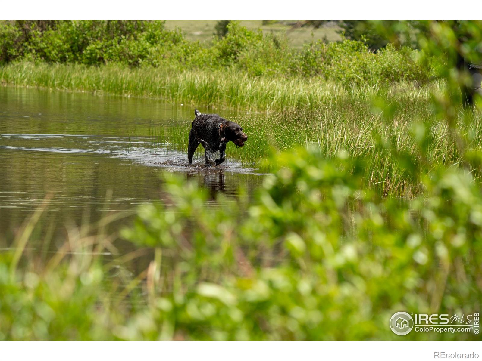 4871 Tolland Road Rollinsville CO 80474