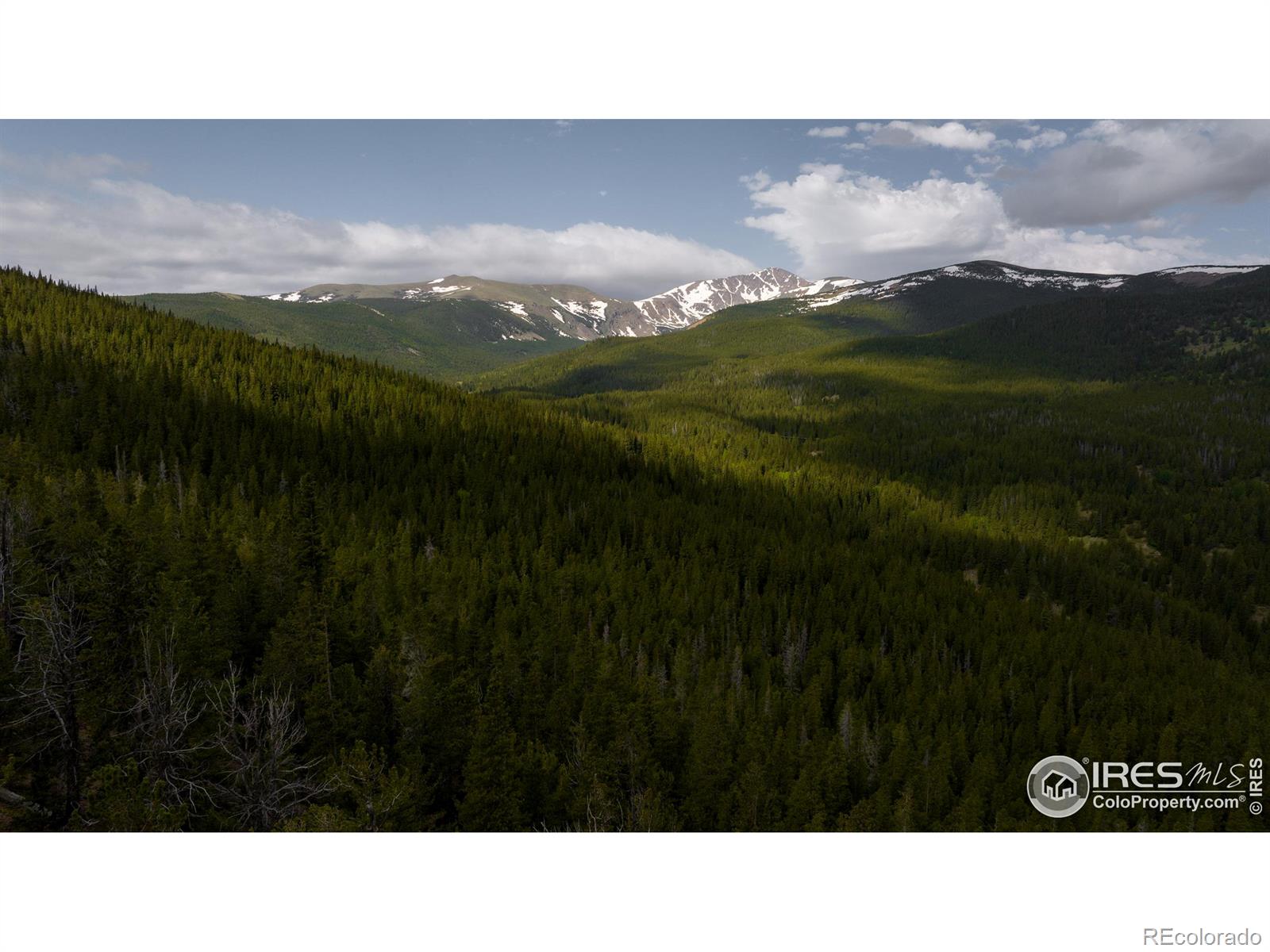 4871 Tolland Road Rollinsville CO 80474