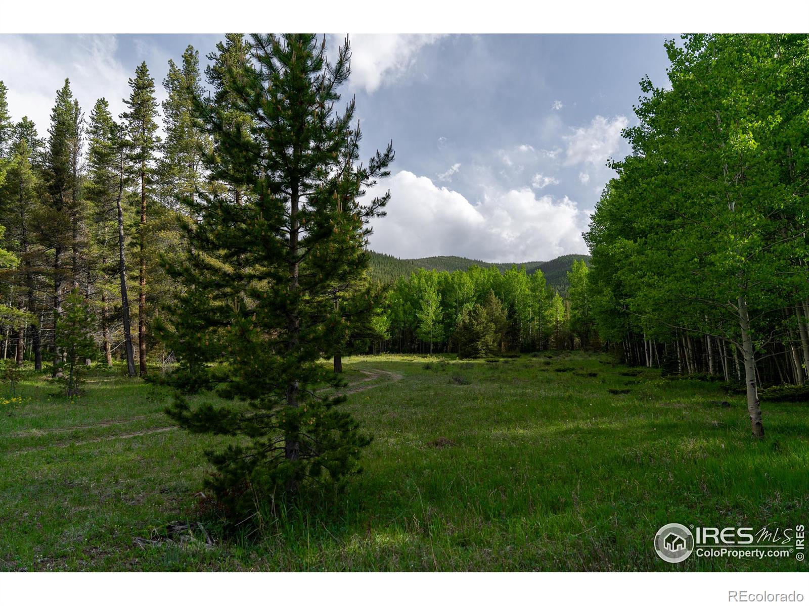 4871 Tolland Road Rollinsville CO 80474