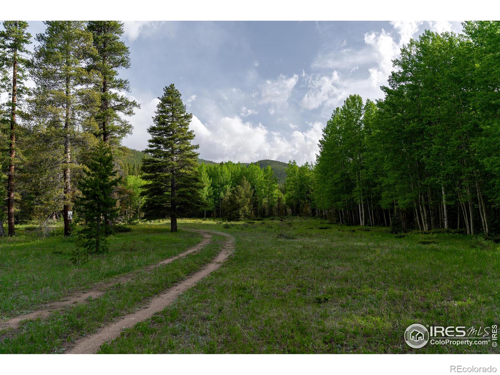 4871 Tolland Road Rollinsville CO 80474