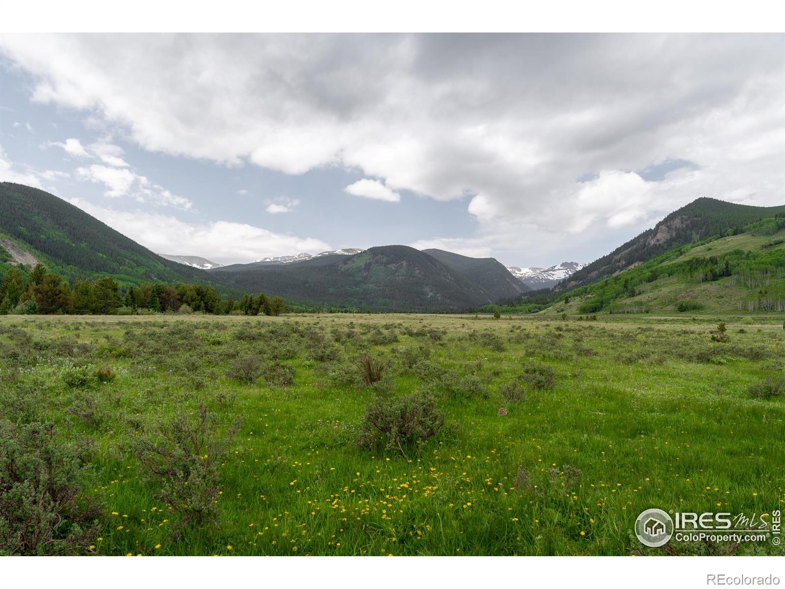 4871 Tolland Road Rollinsville CO 80474