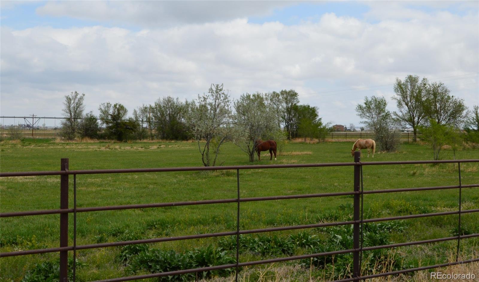 22661 Road 24 La Junta CO 81050