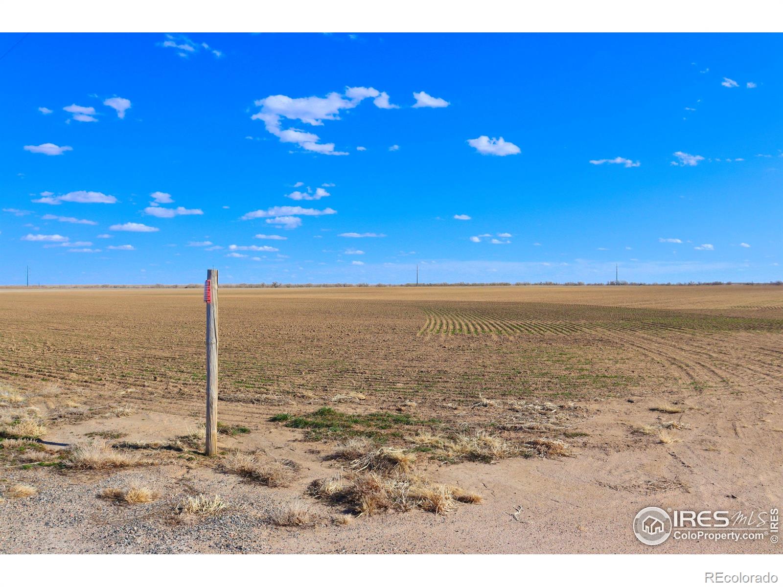 3699 County Road 5 Wiggins CO 80654