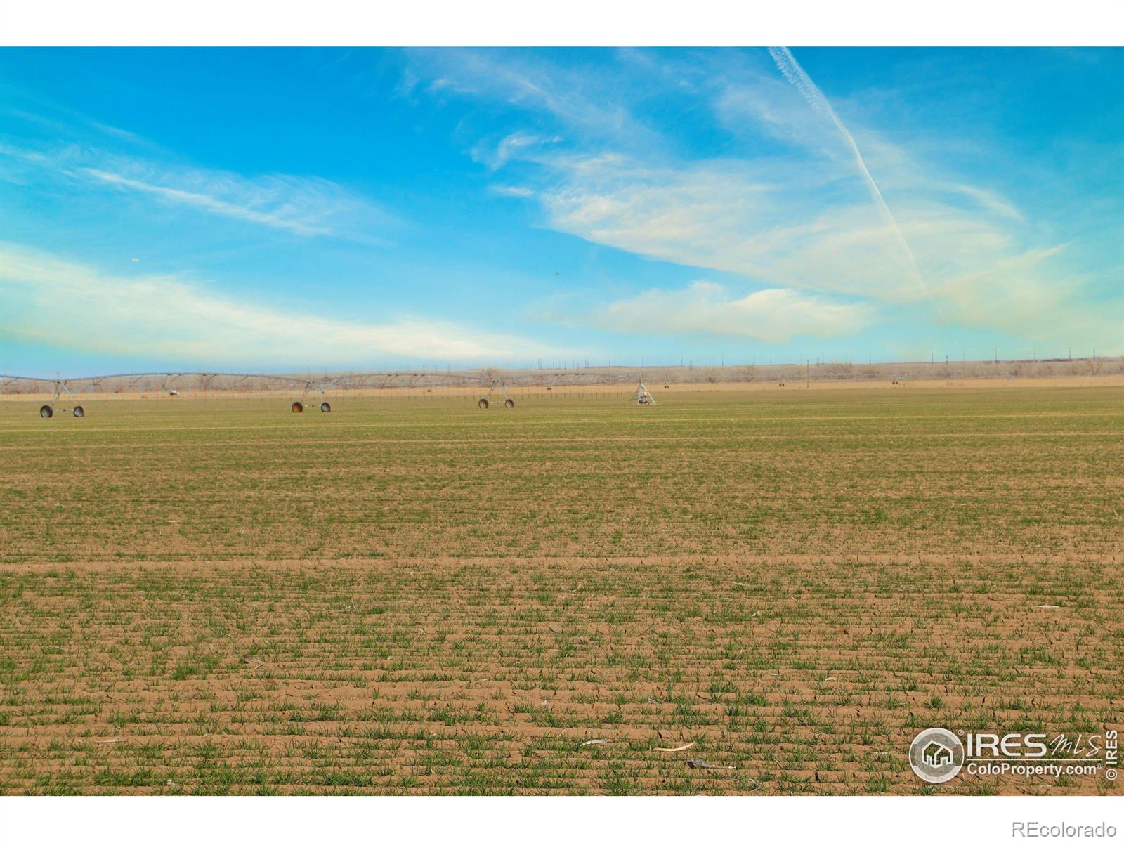 3699 County Road 5 Wiggins CO 80654