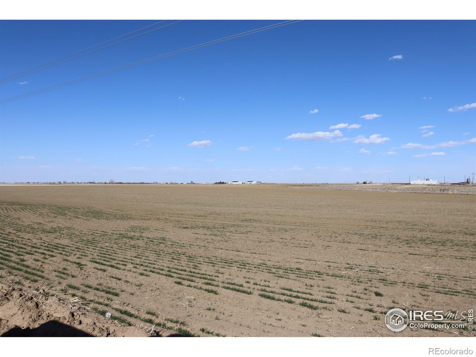 3699 County Road 5 Wiggins CO 80654