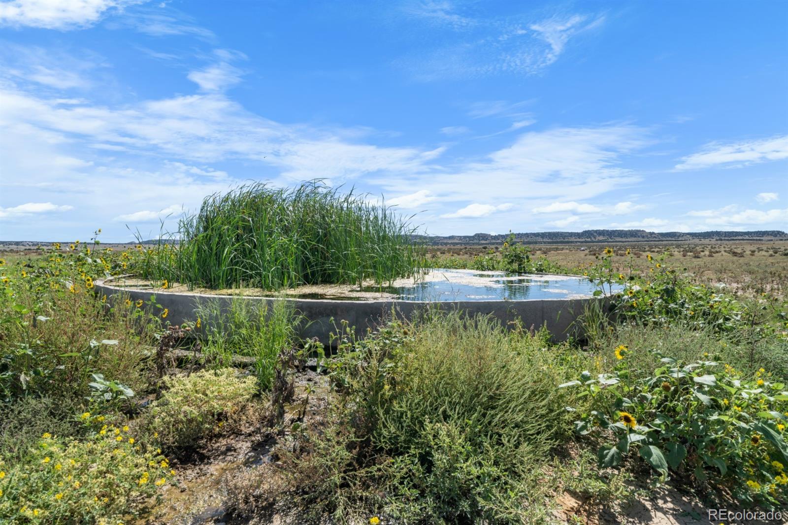 0 County Road 94 Model CO 81059