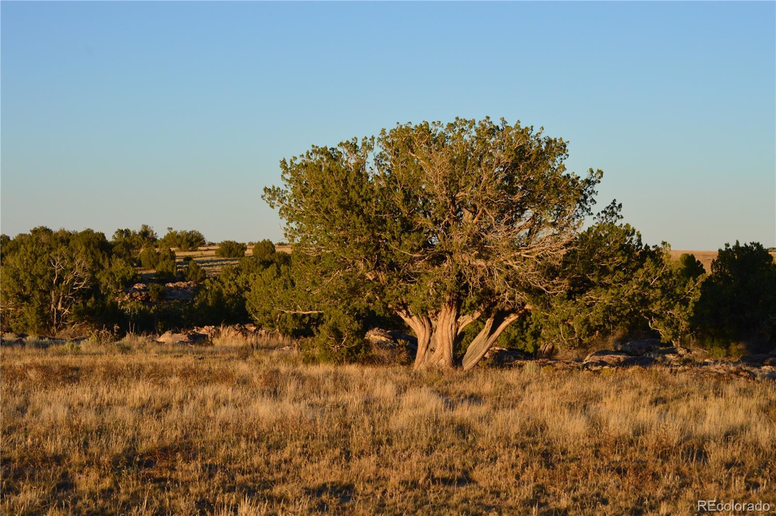 0 County Road 94 Model CO 81059