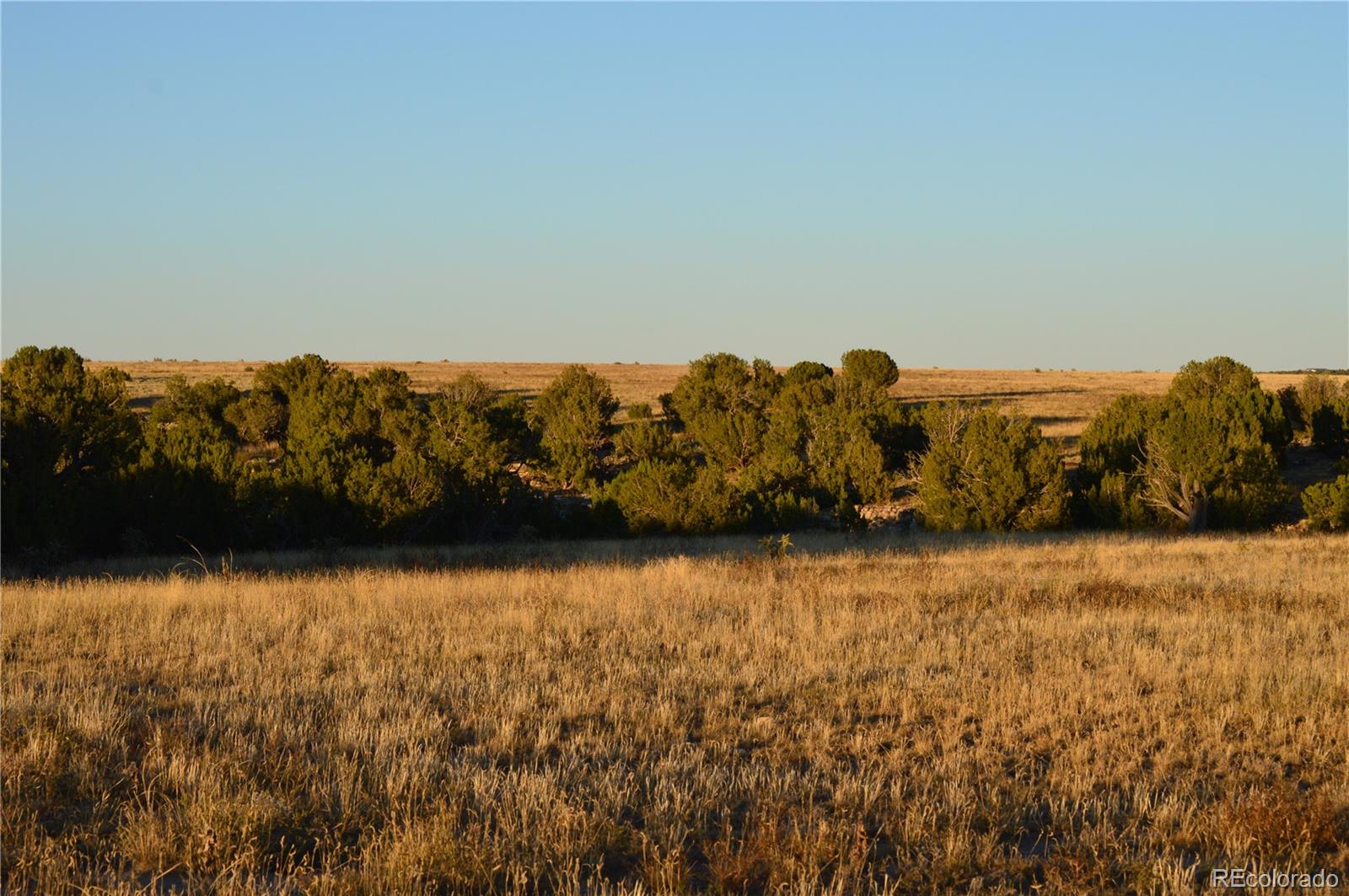 0 County Road 94 Model CO 81059