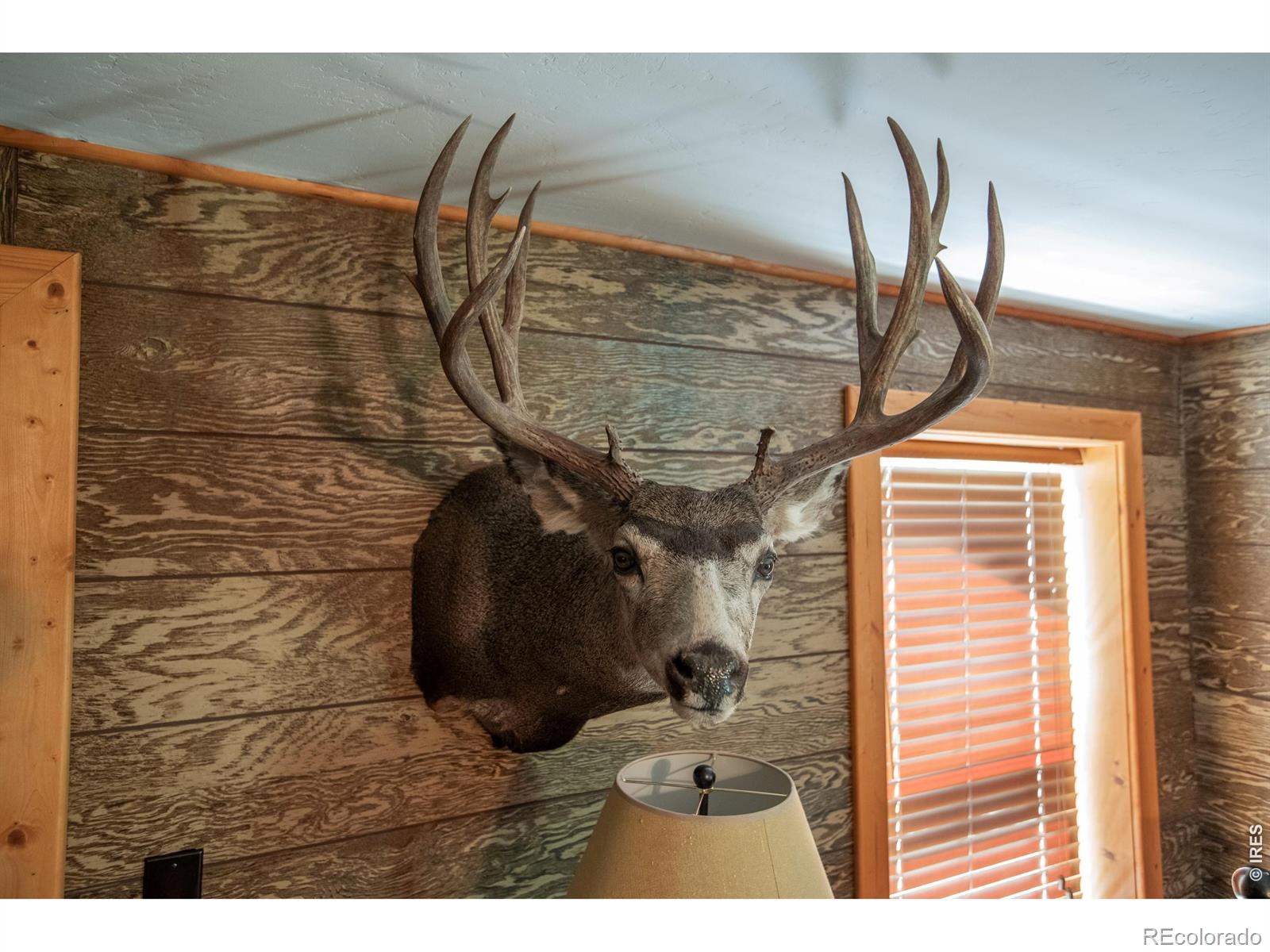 18880 County Road 500 Pagosa Springs CO 81147