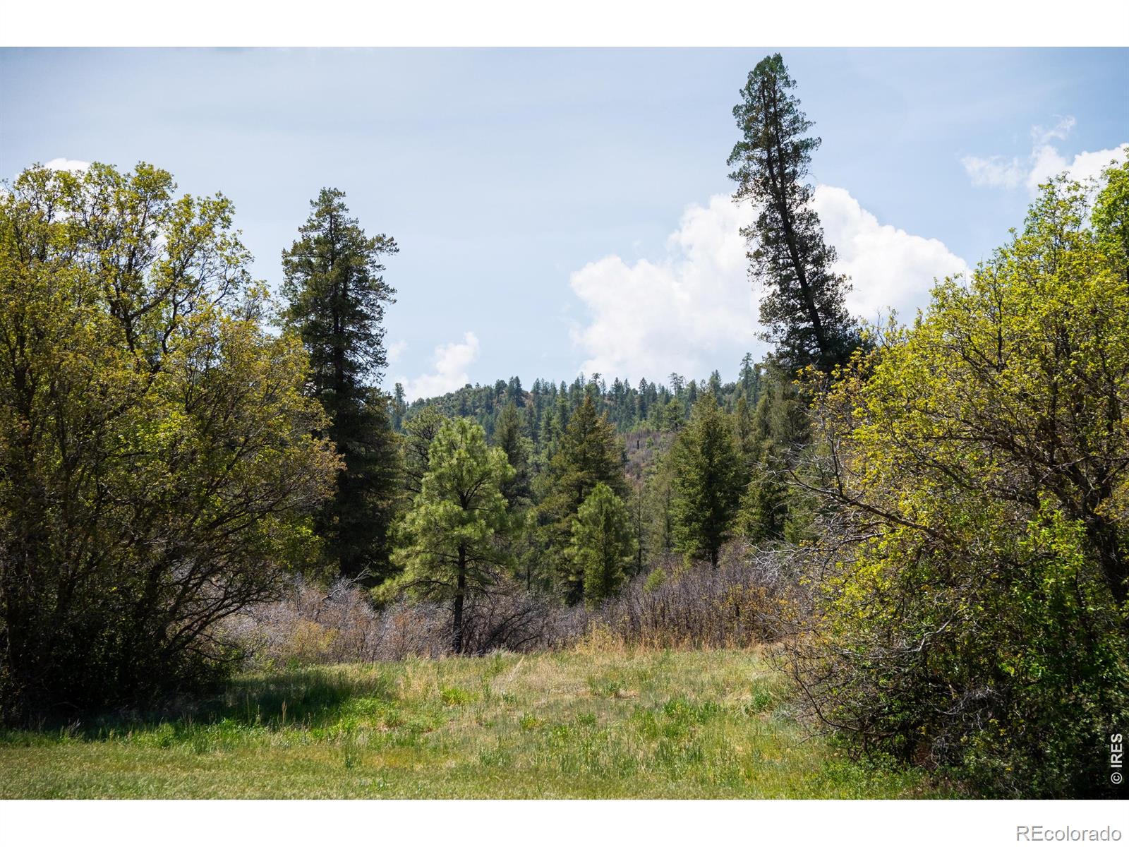 18880 County Road 500 Pagosa Springs CO 81147